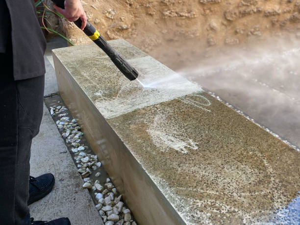 Best House Pressure Washing  in Lake Panasoffkee, FL