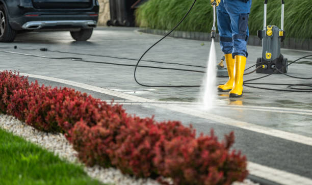 Best Concrete Pressure Washing  in Lake Panasoffkee, FL