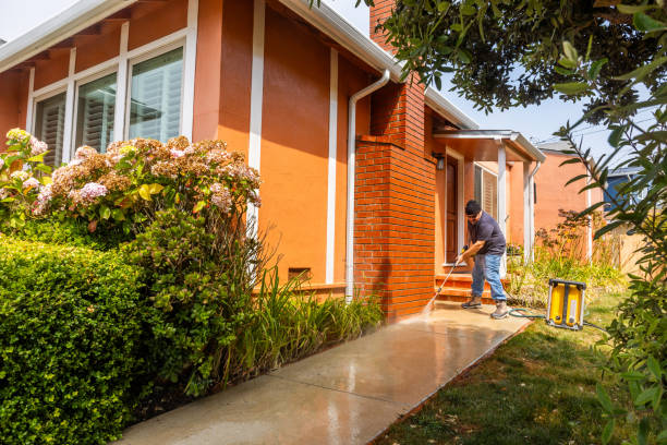 Best Pressure Washing Patio  in Lake Panasoffkee, FL