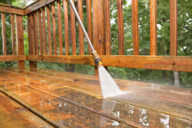 Best Local Pressure Washing Services  in Lake Panasoffkee, FL