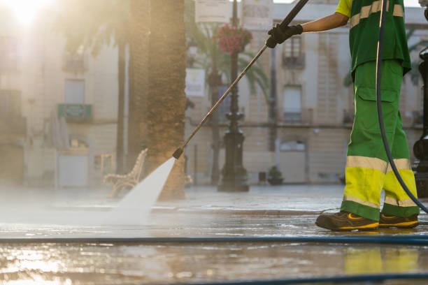 Best Affordable Power Washing  in Lake Panasoffkee, FL