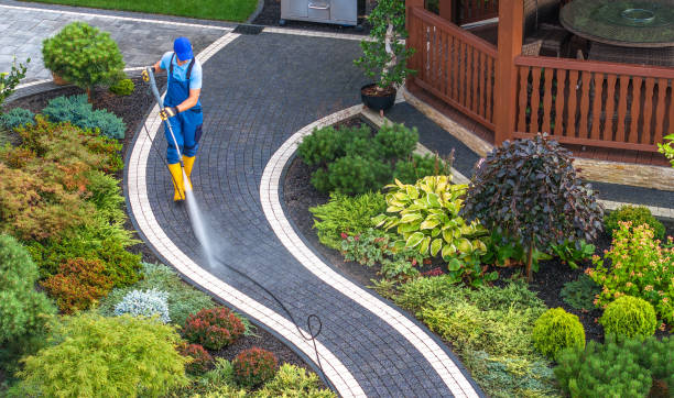 Best Roof Power Washing Services  in Lake Panasoffkee, FL