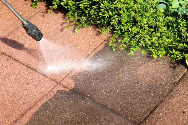 Pressure Washing Brick in Lake Panasoffkee, FL