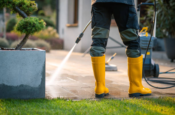 Best Roof Pressure Washing  in Lake Panasoffkee, FL